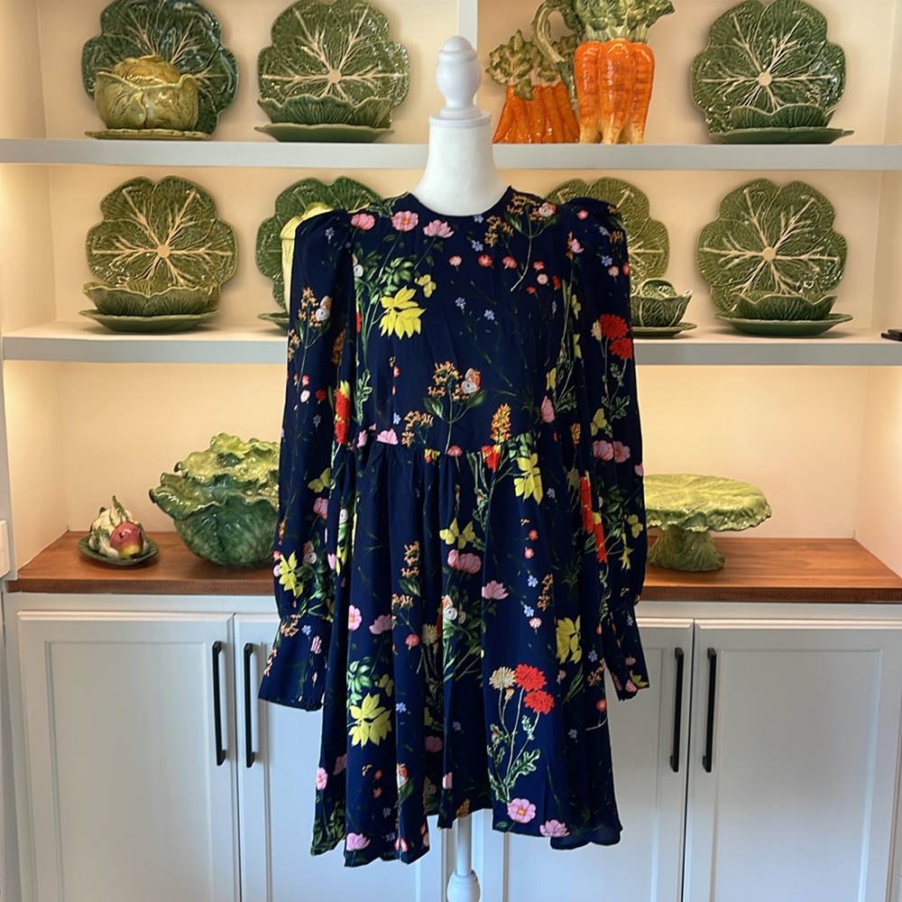 Pomander Place (Tuckernuck) Long Sleeve Floral Dress Size XL